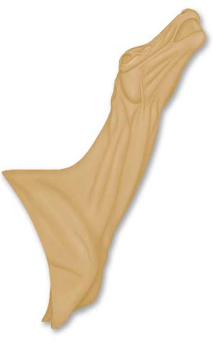 WTW-901