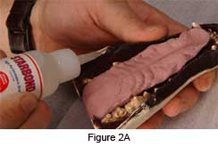 add glue to the flat shelf behind the lip line of the lower jaw